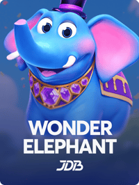 Wonder Elephant