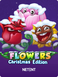 Flowers Christmas Edition