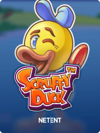 Scruffy Duck