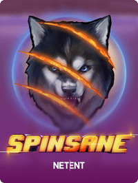 Spinsane