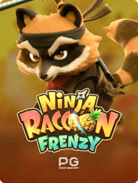 Ninja Raccoon Frenzy