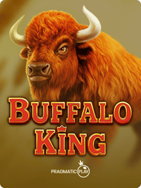 Buffalo King