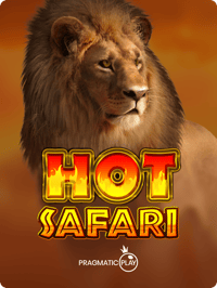 Hot Safari