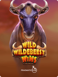 Wild Wildebeest Wins