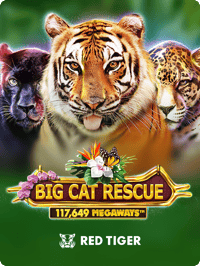 Big Cat Rescue Megaways