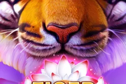 Tiger Jungle