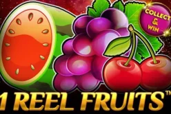 1 Reel - Fruits Craze