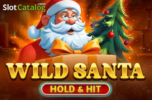 Wild Santa - Hold & Hit