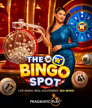 The Bingo Spot